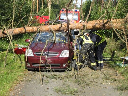 Baum auf Auto gestürzt